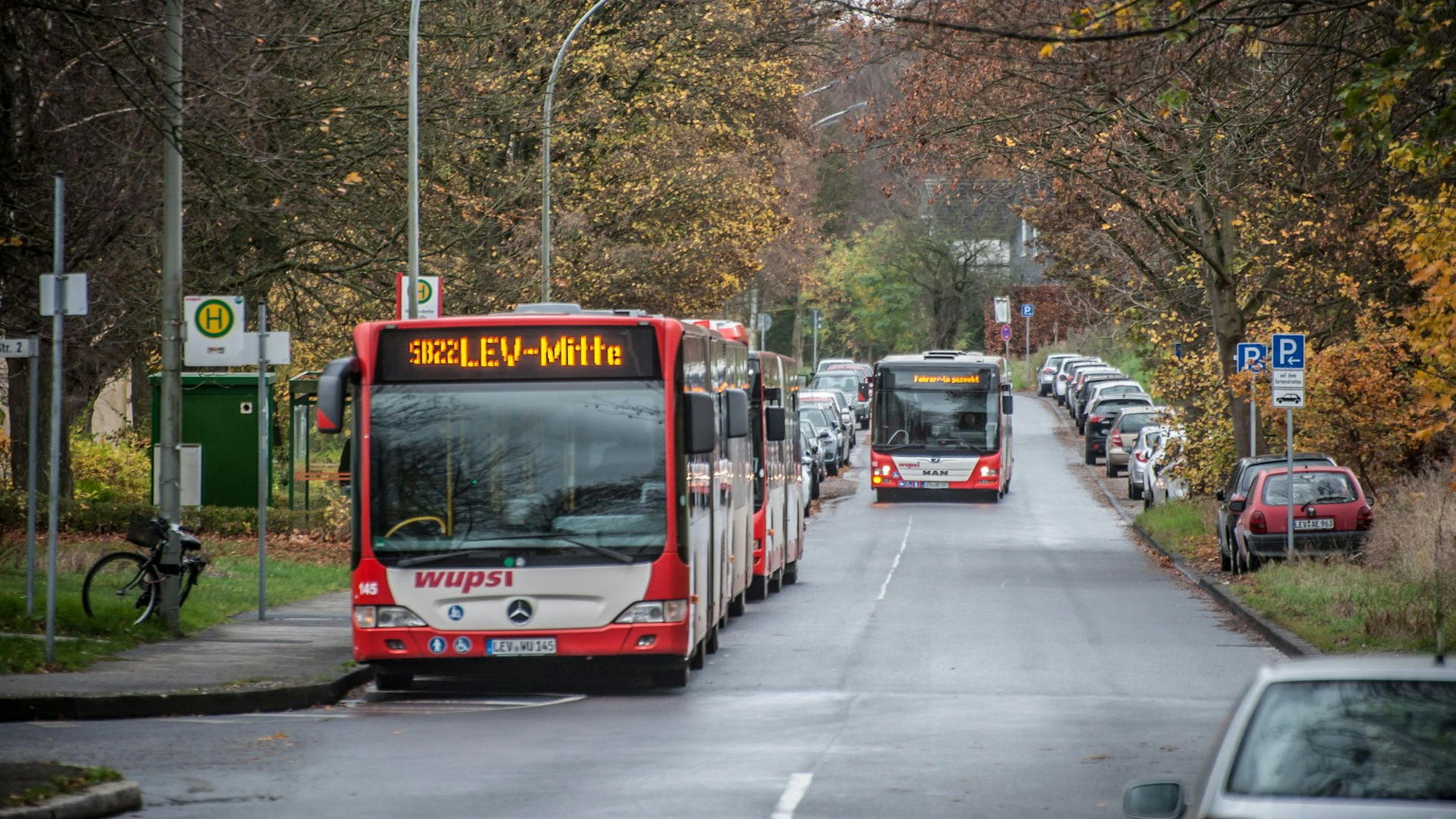 Zwei rot-weiße Busse der Wupsi stehen an einer Haltestelle, ein dritter ist in der Ferne zu sehen.