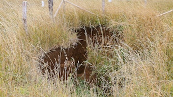 Auf einer Wiese ist ein tiefes Loch zu sehen, dahinter steht ein Zaun.