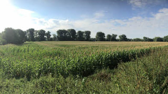 Panoramablick vom Sonnenblumenweg über den versteigerten Acker Richtung Südwesten: links der Bebauungsrand von Sürth, mittig die Straße „In der Aue“, rechts der schon verkaufte Bauernhof.