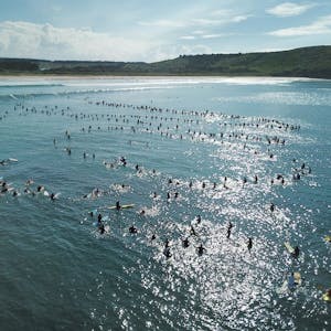 Surfen gehört hier zum Leben dazu: In Australien kommt es daher immer wieder zu Haiattacken.