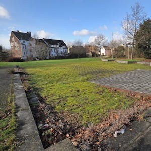 Als „artenreiche Grünfläche“ wollen Nachbarn das Plangebiet am Kreuzhof in Wiesdorf erhalten sehen.