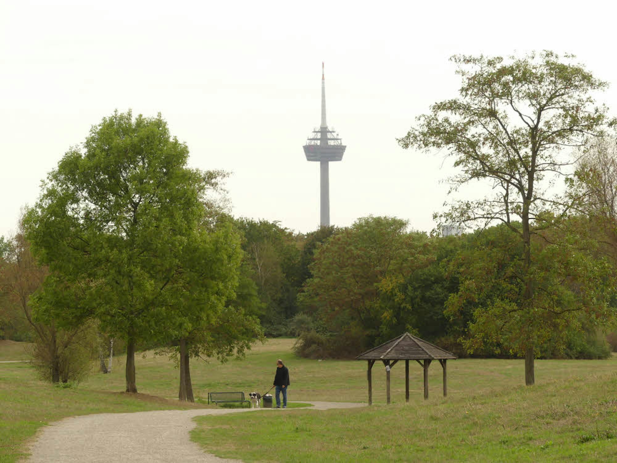 In der Grünanlage an der Butzweilerstraße werden Rasenflächen in Blumenwiesen umgewandelt.