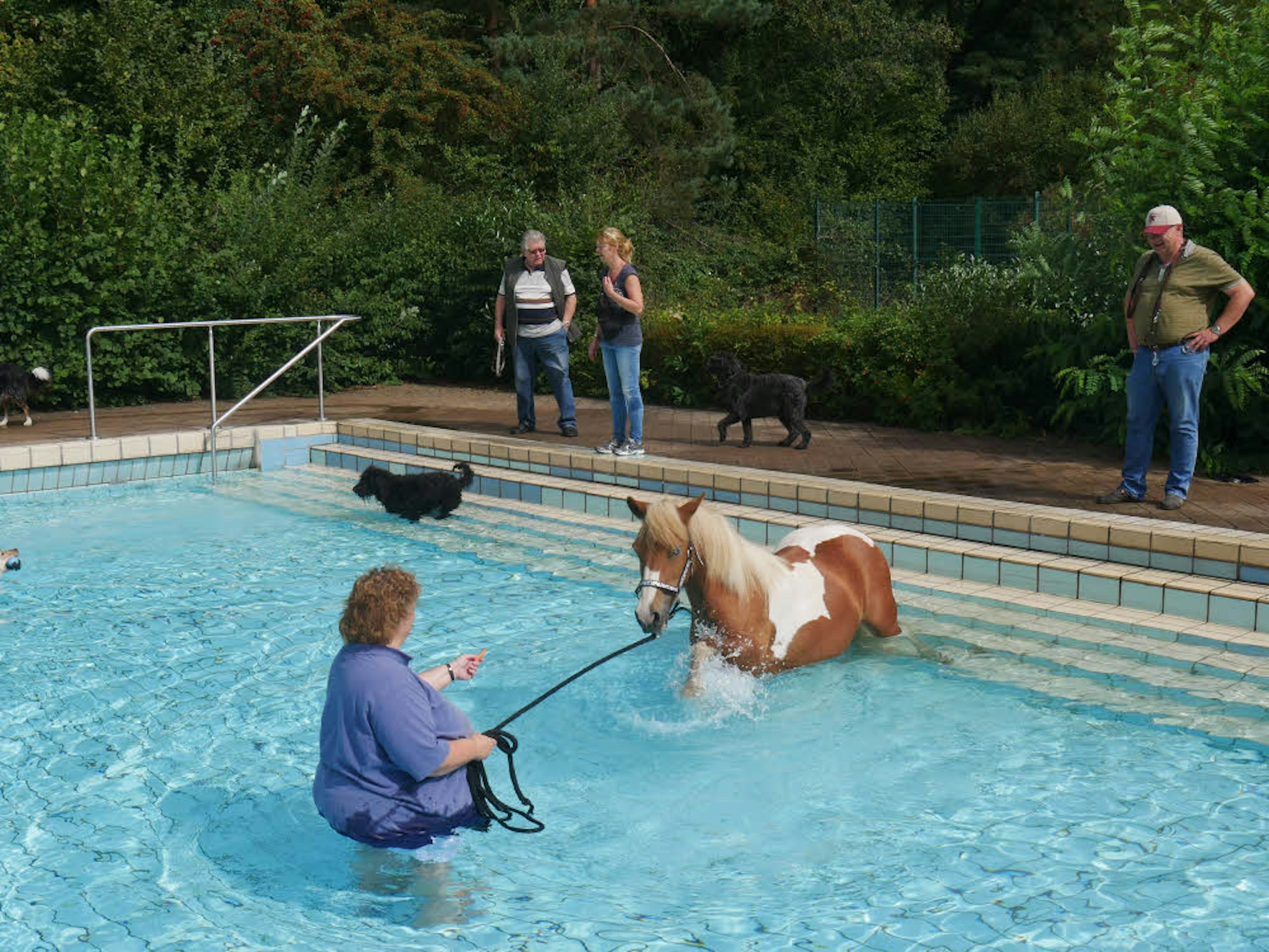 Bianca Gerhards hatte die Schwimmstunde mit ihrem Pony Flicka gut vorbereitet.