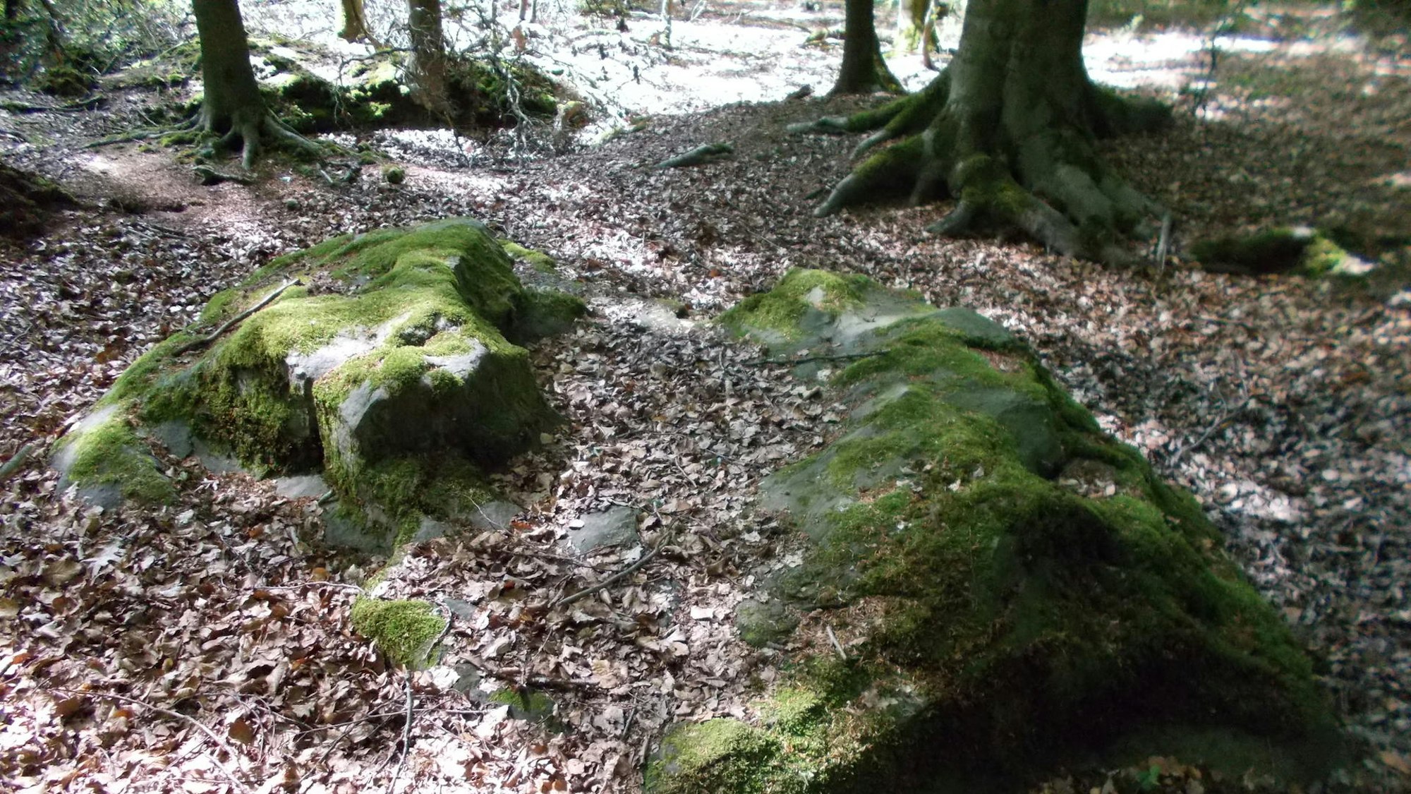 Naturdenkmal Teufelsteine im Hünxer Wald.