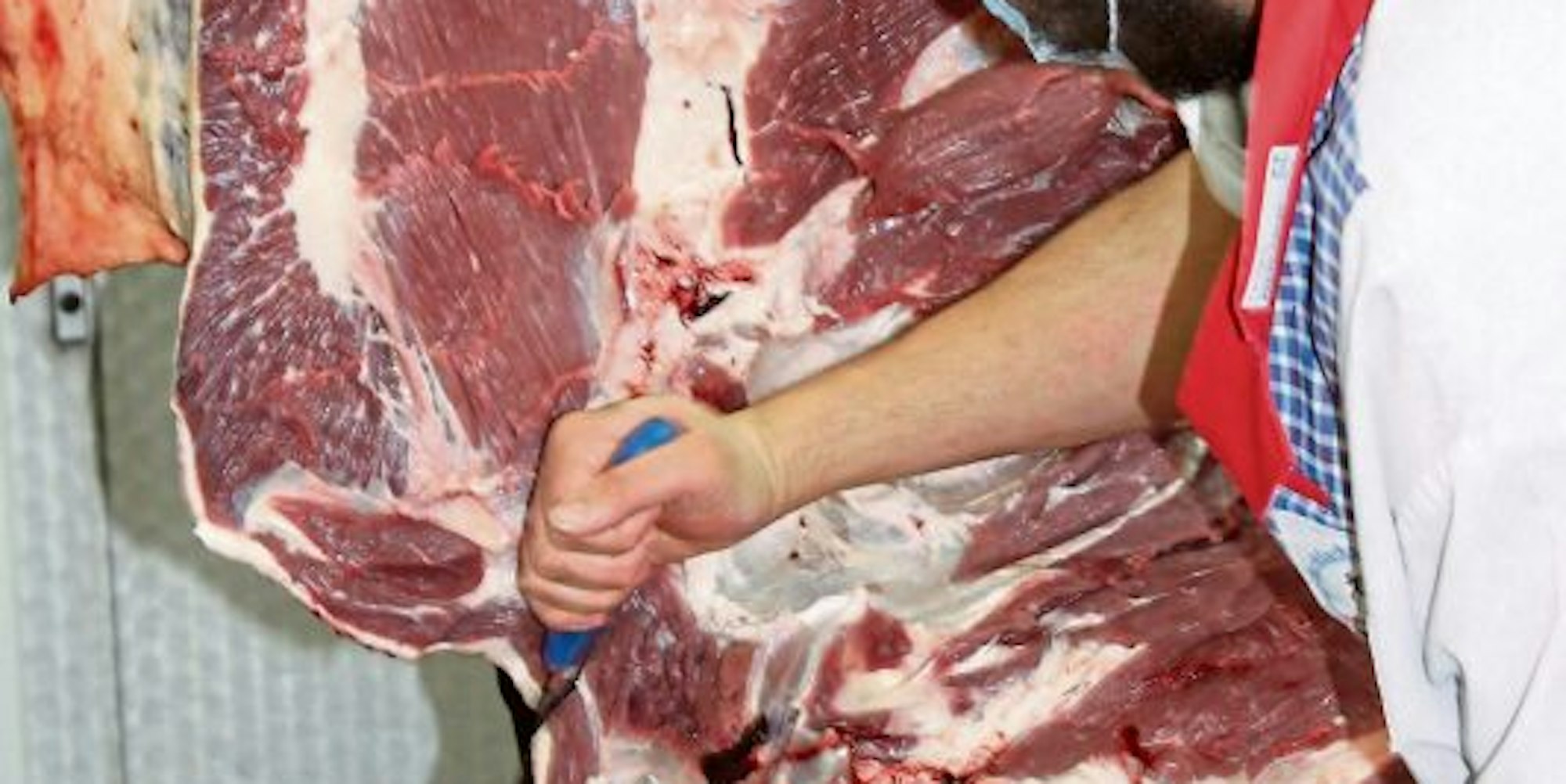Ein bis drei Rinder pro Woche schlachtet Familie Schmitz in ihrer Metzgerei. Die Tiere holt der Chef selbst bei den Landwirten aus der Region ab, mit denen er zusammenarbeitet.
