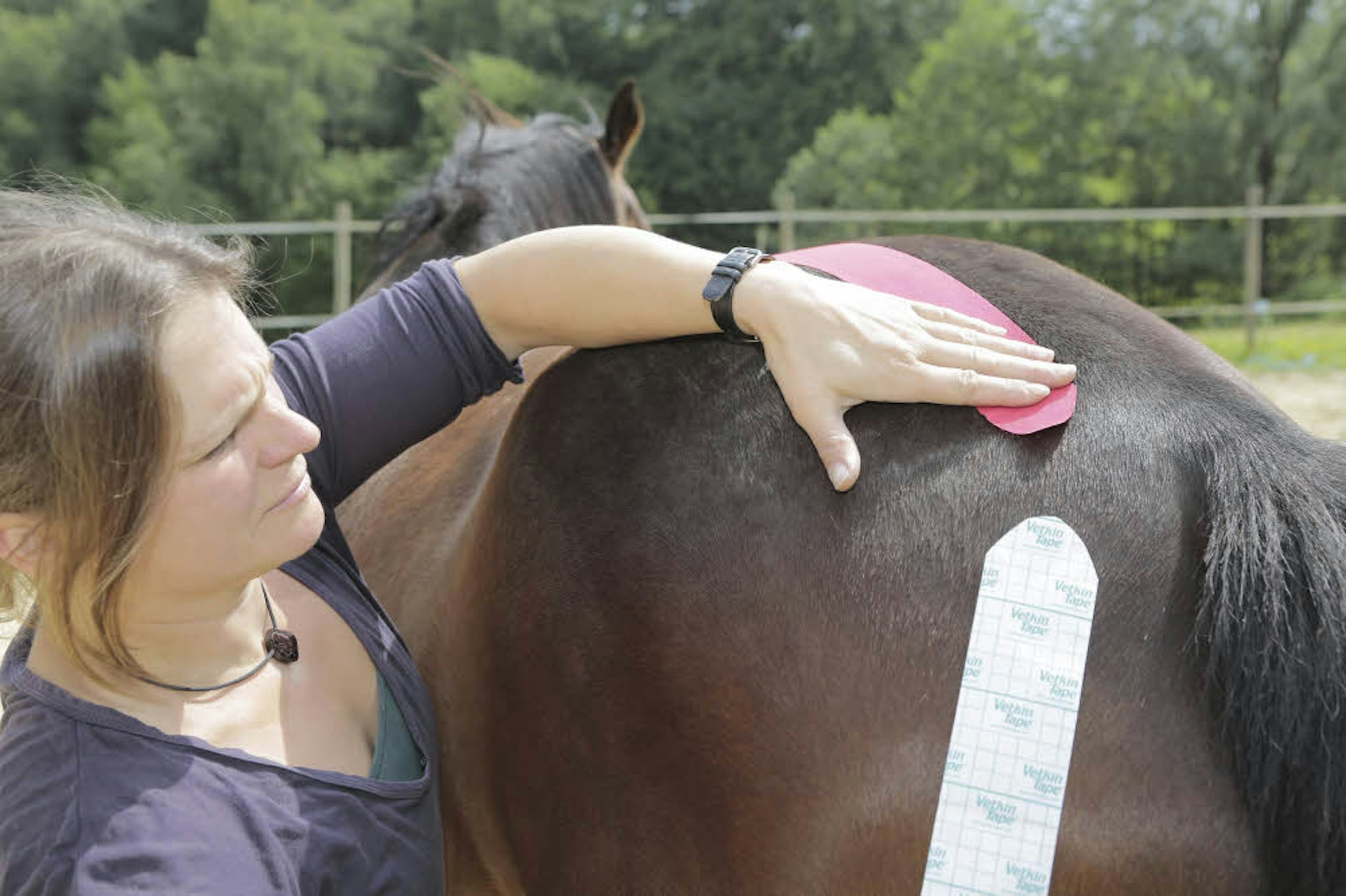 Auch Physiotapes helfen nicht nur menschlichen Sportlern, hier kommen die Streifen bei der Behandlung eines Pferdes zum Einsatz.