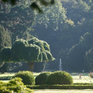 Heimatcheck Liblar Schlosspark