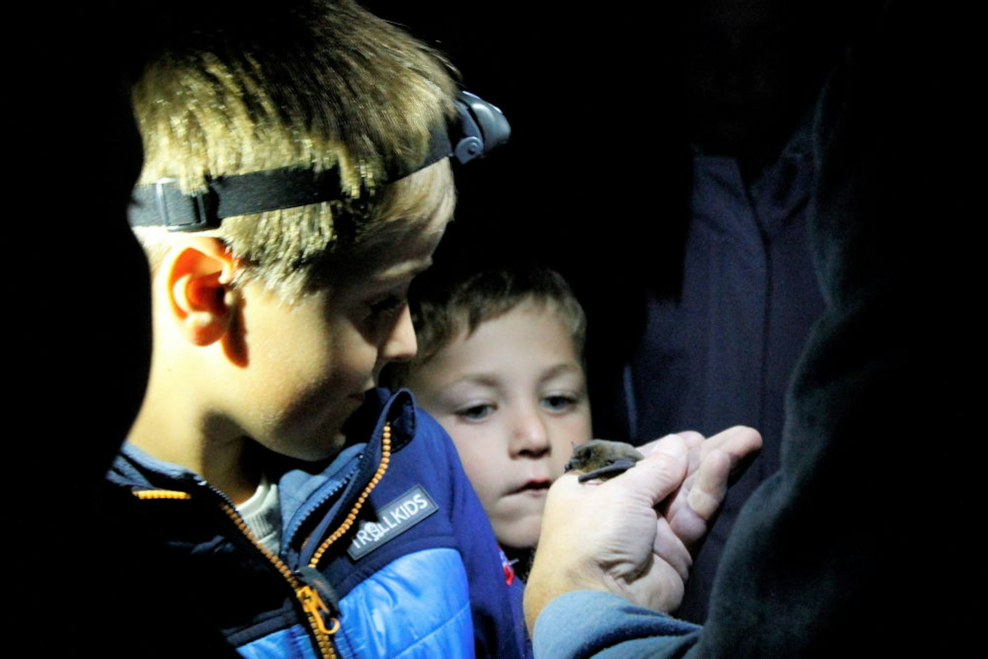 Was für eine Erfahrung: Der achtjährige Theo und sein Bruder Benno konnten die Fledermäuse aus nächster Nähe betrachten.
