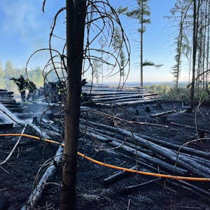 Nur wenige Bäume des angrenzenden Waldes haben die Flammen der brennenden Holzstapel erreicht, bevor die Feuerwehr die Brandausbreitung stoppen konnte.