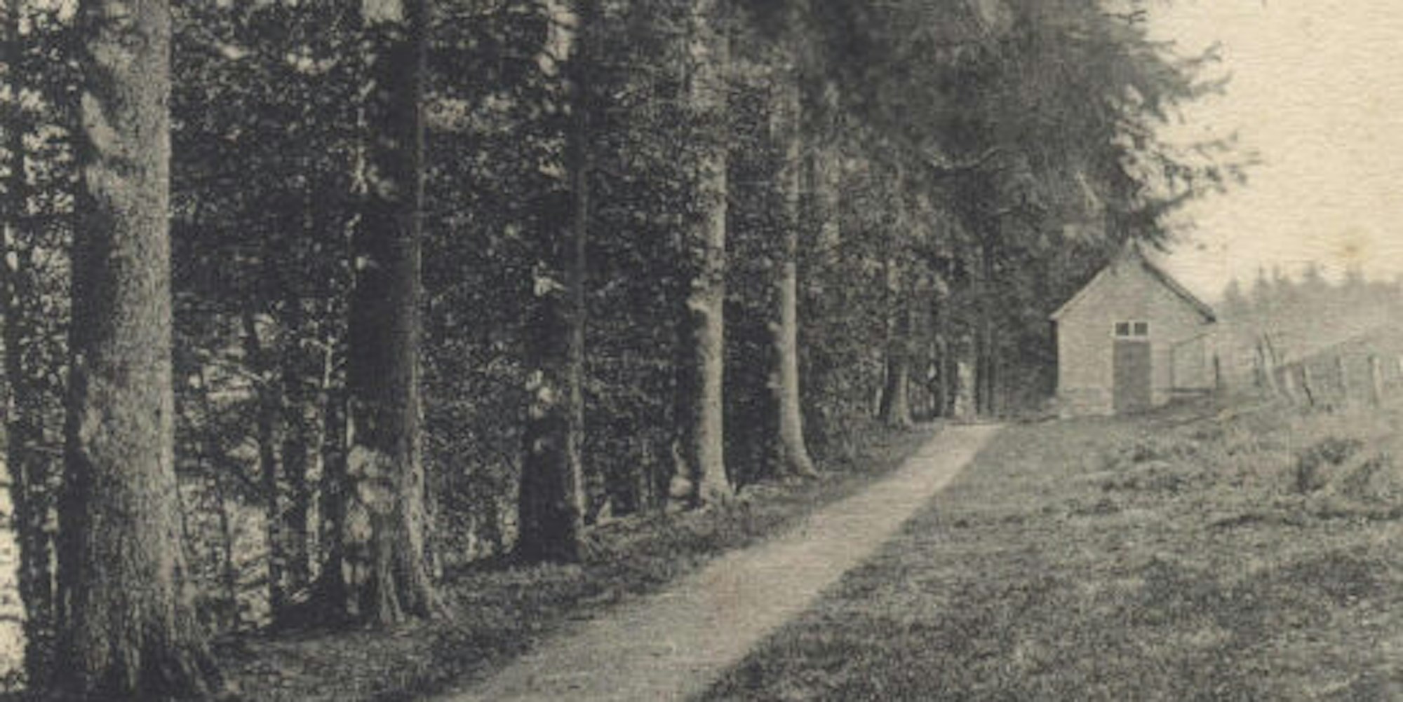„Promenadenweg“, so wird diese Straße in Ohl auf einer Postkarte aus dem Jahr 1910 bezeichnet. Wie heißt sie heute?