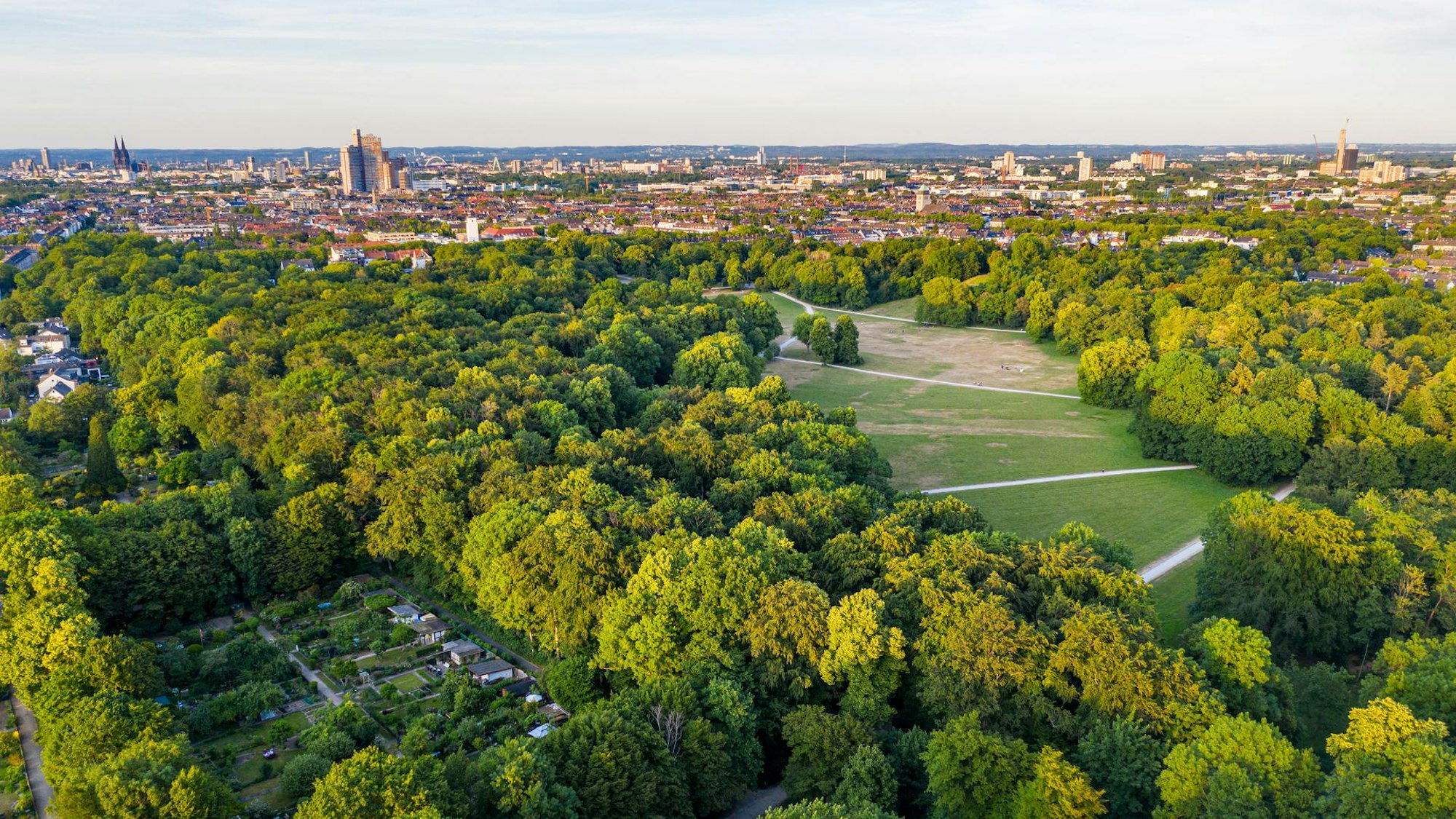 Park mit Bäumen aus der Luft fotografiert