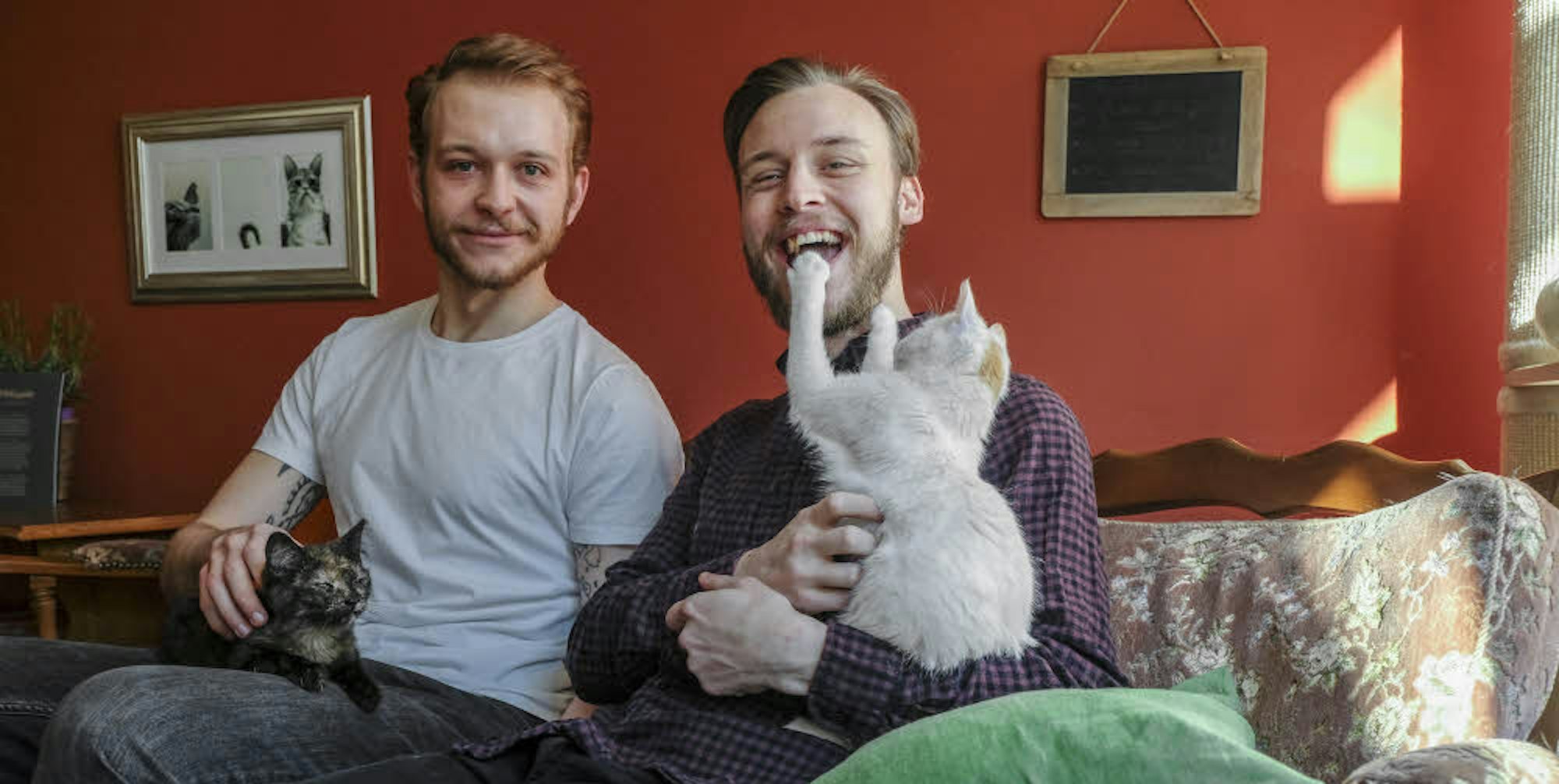 Auf die Katze gekommen: Alexander Valender (l.) und Wolf Schönwälder bespaßen die jüngsten Bewohner des Café Schnurrke. Die Katzen Lora und Freddy sind acht und neun Monate alt.