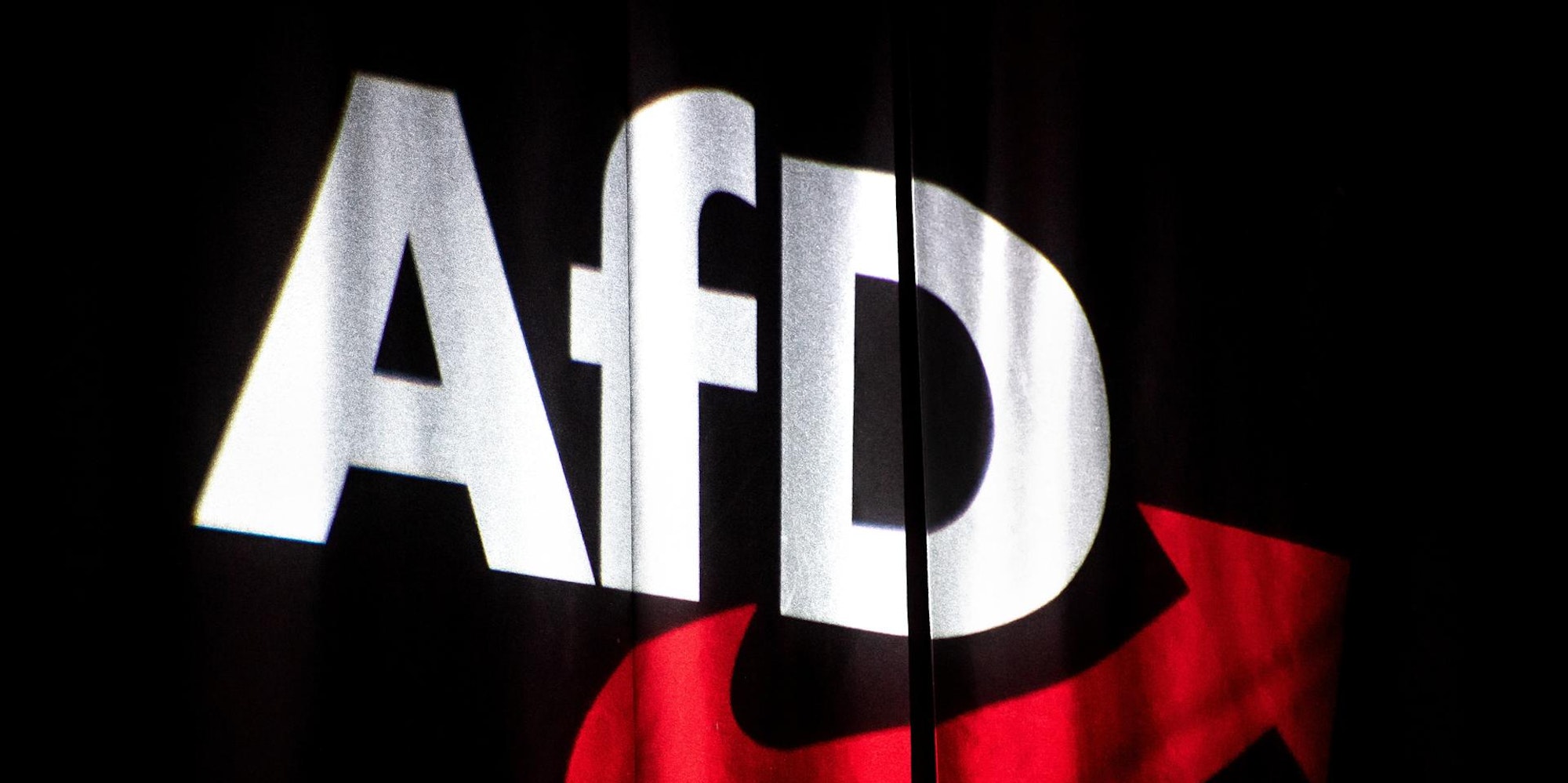 AfD Symbolbild