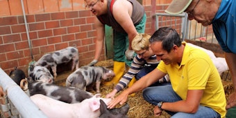 Die sind ja wirklich putzig: Arndt Kohn machte Bekanntschaft mit den süßen Ferkeln im Schweinestall.
