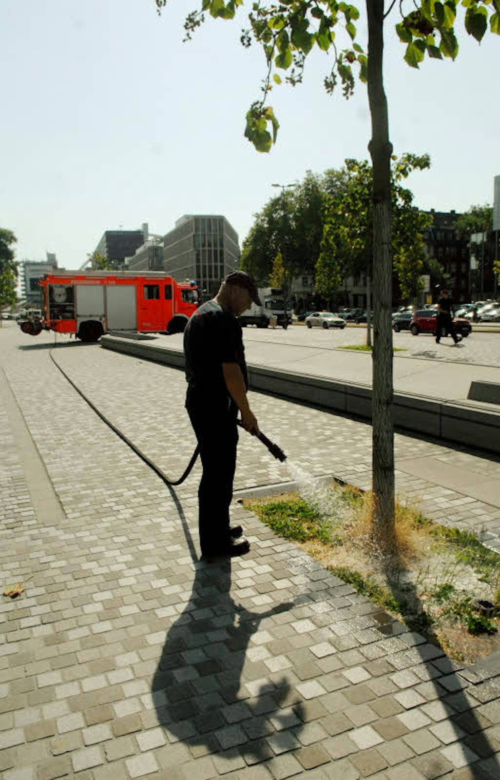 Ein Feuerwehrmann bewässert Stadtbäume am Ottoplatz
