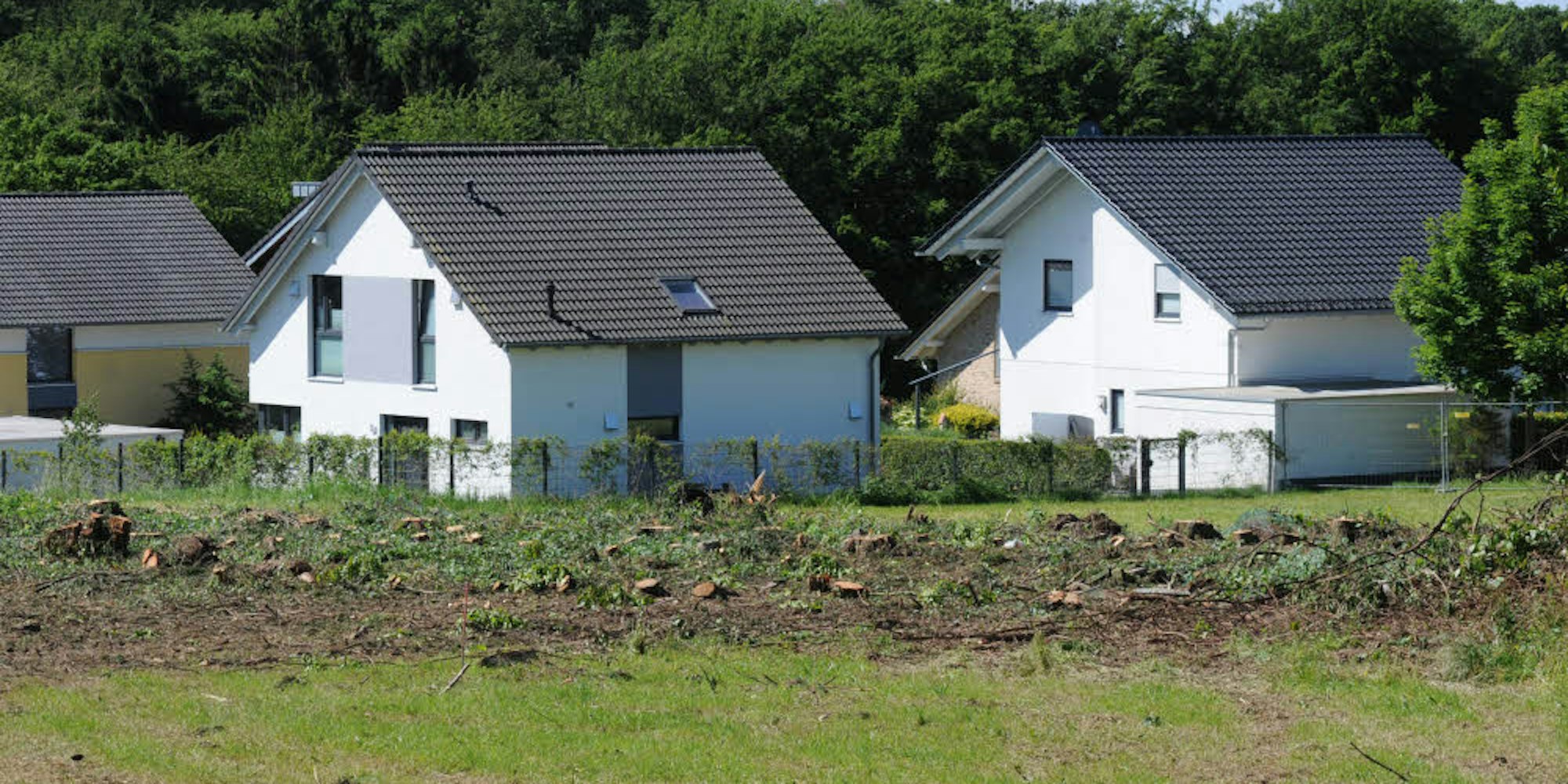 Die Häuser im Rötzinghofener Neubaugebiet waren bis vor kurzem durch ein schmales Wäldchen abgeschirmt.