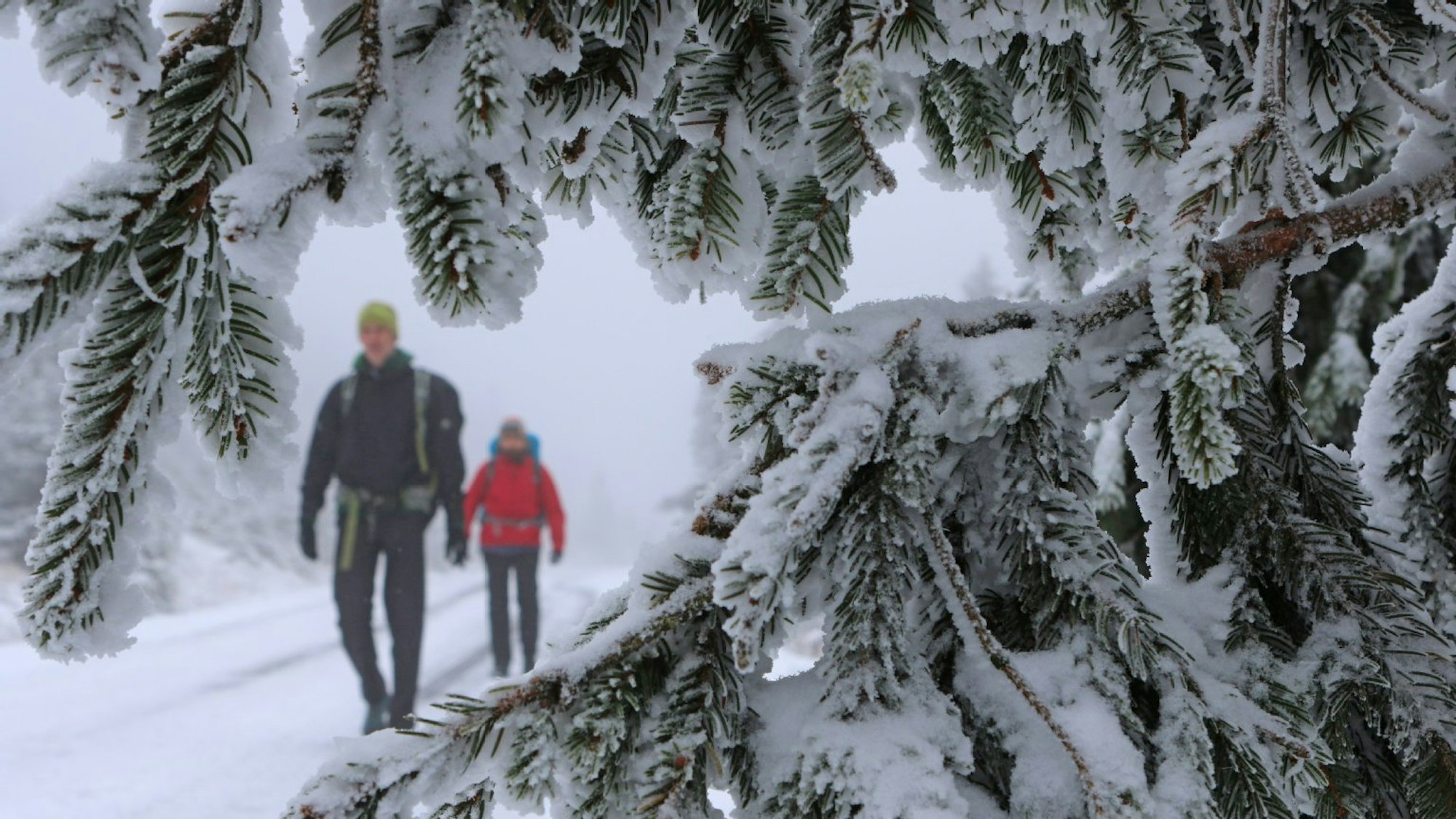 Zwei Menschen im dicken Schnee im Wald.