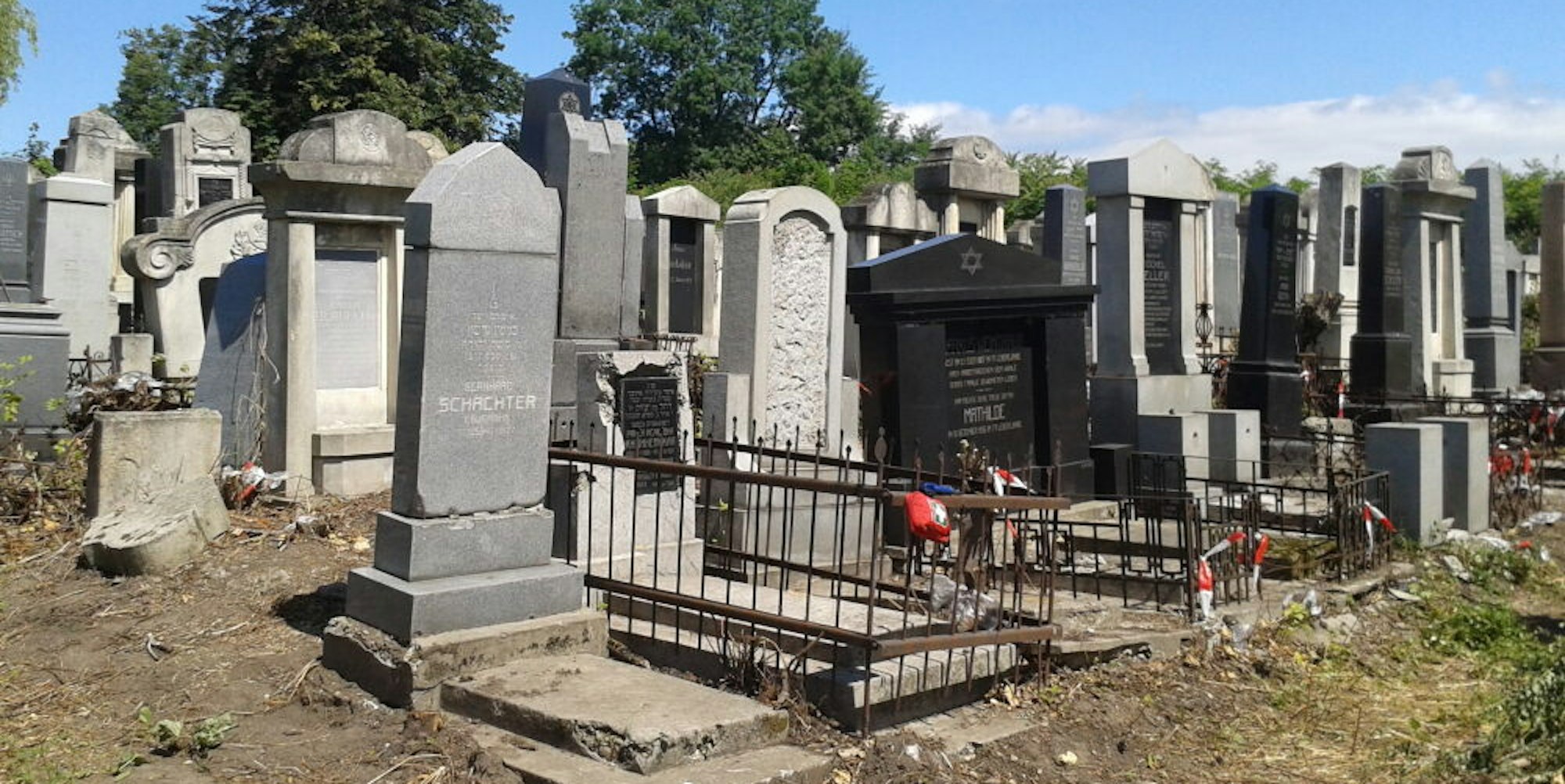 Den jüdischen Friedhof von Czernowitz in der Westukraine pflegen Mitglieder des Projekts regelmäßig.