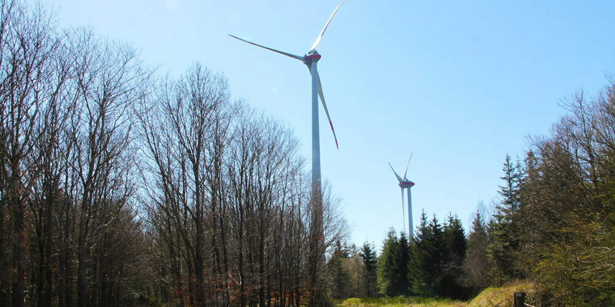 Im Umkreis dieser Anlagen von Dahlem IV sollen drei weitere Windenergieanlagen im Gemeindewald gebaut werden.