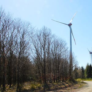 Im Umkreis dieser Anlagen von Dahlem IV sollen drei weitere Windenergieanlagen im Gemeindewald gebaut werden.