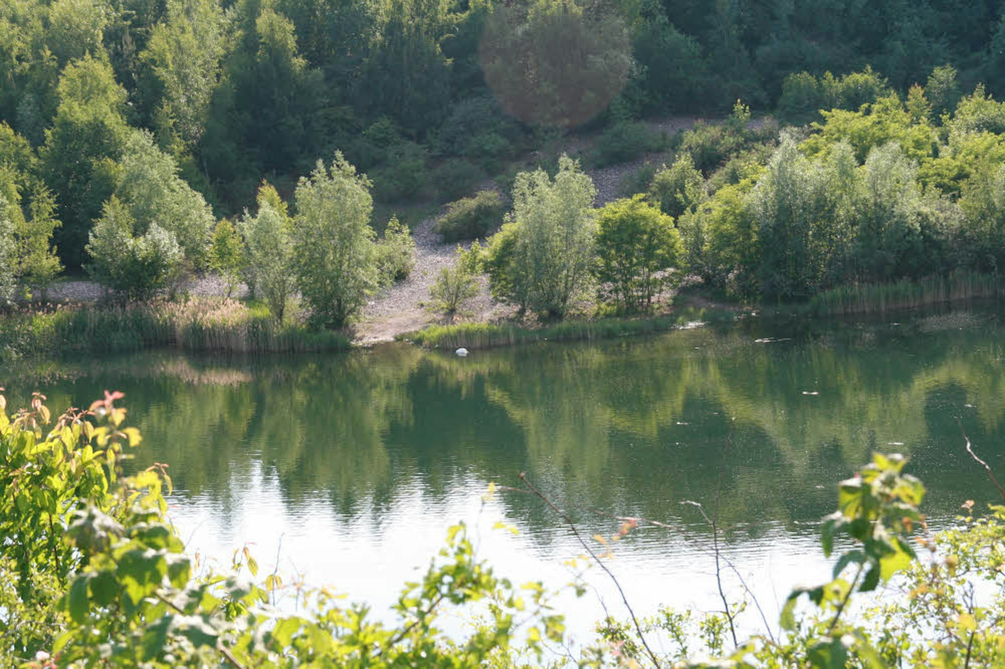 Das Naturschutzgebiet  Meschenicher Kiesgrube hat auch einen idyllischen See.