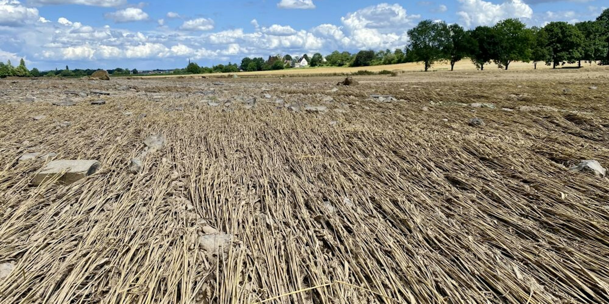 Dieses Getreidefeld zwischen Horchheim und Vernich liegt nicht nur flach, Steine wurden auf die Ackerfläche gespült.