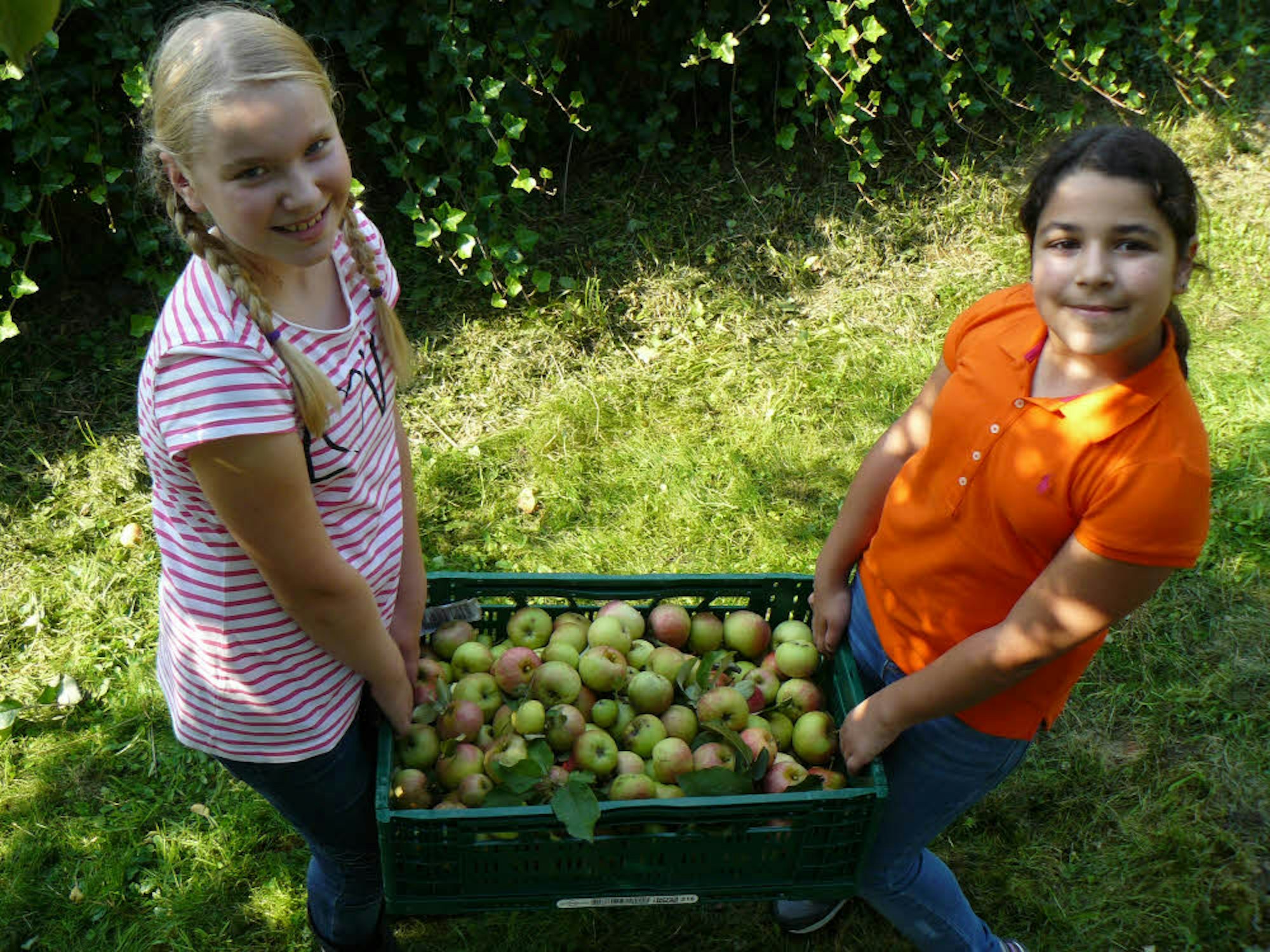 Melissa (l.) und Isabelle pflückten letztes Jahr beim Dorffest körbeweise  Äpfel.