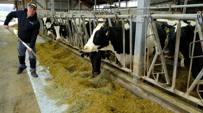 Einer der größten Milchviehbetriebe im Kreis Euskirchen ist der von Helmut Dahmen aus Lorbach.