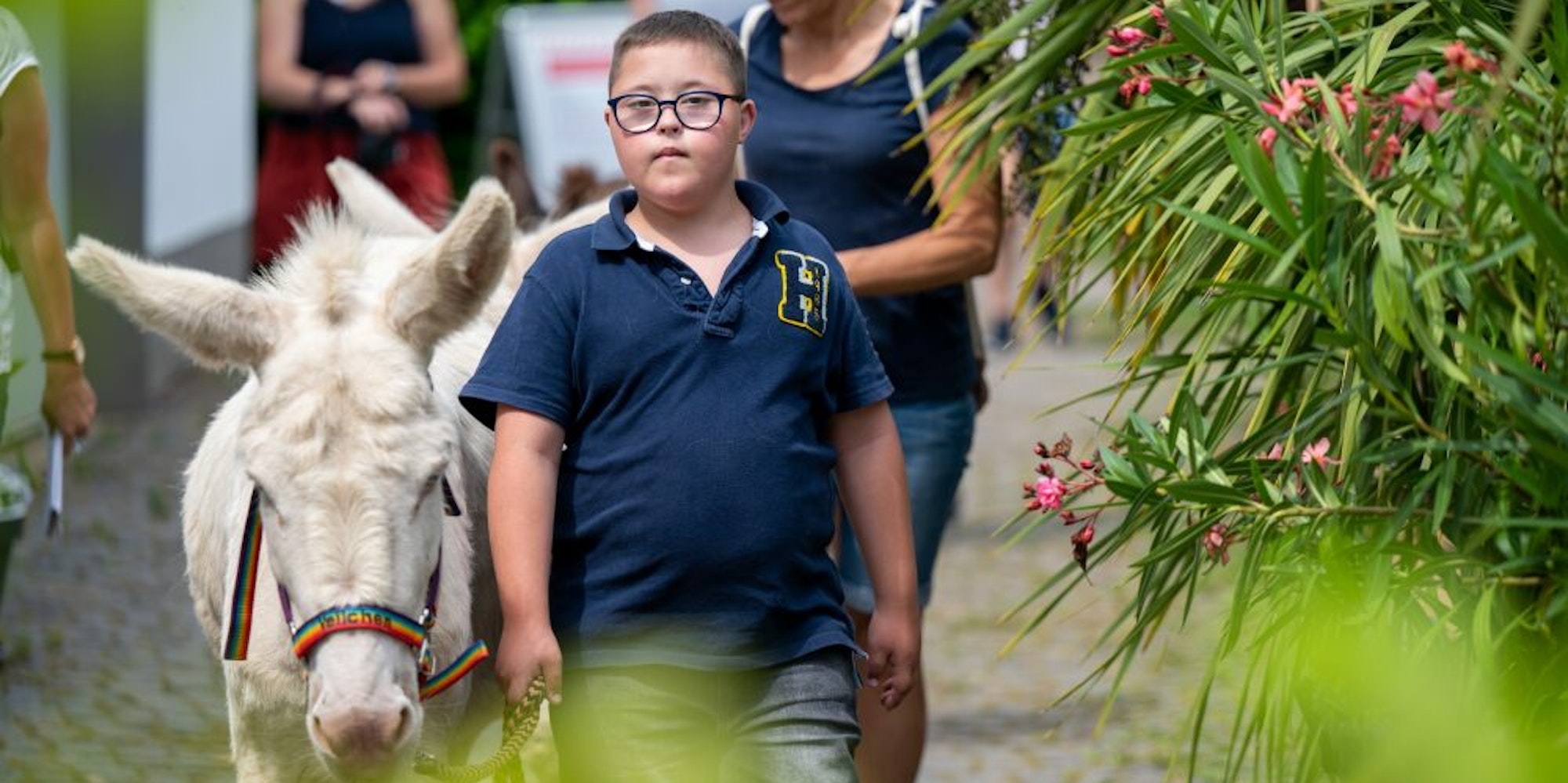 Der neunjährige Alex macht mit Eseldame Veilchen einen Spaziergang