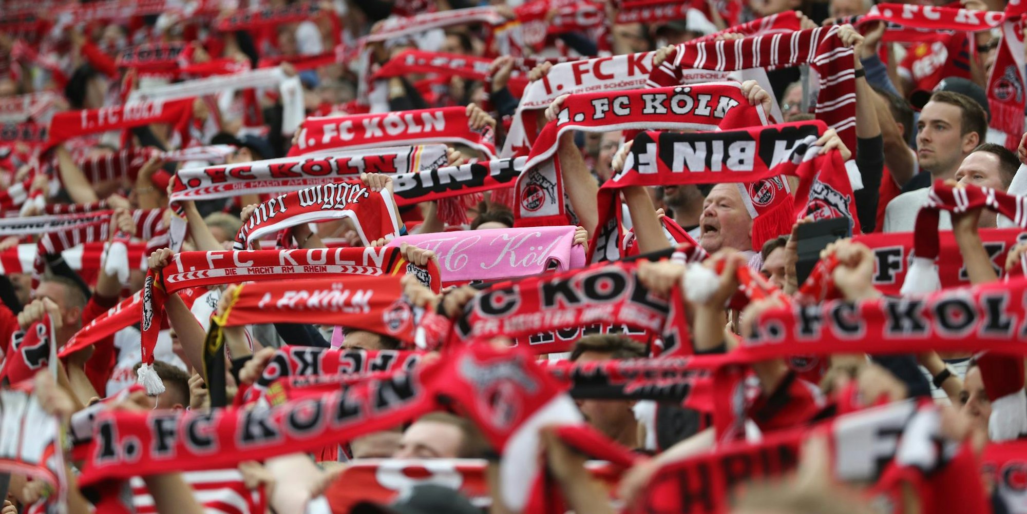 Fans FC Bucco Schals