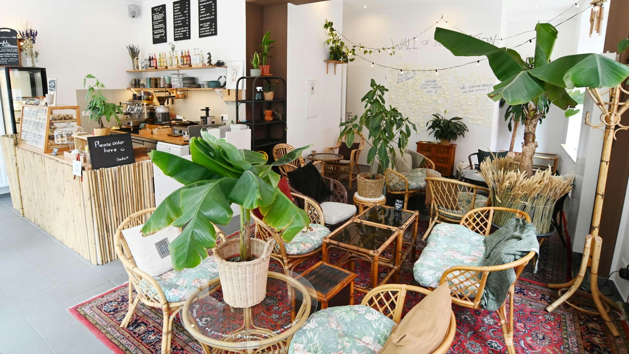 Der Innenbereich des Ain-Café in Köln mit Bambusmöbeln und vielen Zimmerpflanzen