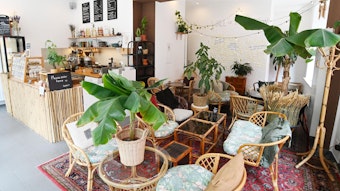 Der Innenbereich des Ain-Café in Köln mit Bambusmöbeln und vielen Zimmerpflanzen