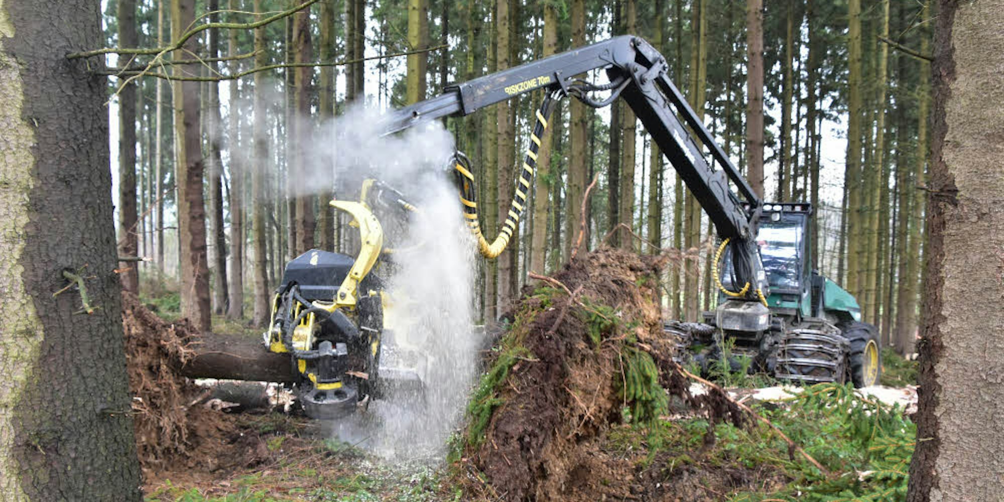 Forstarbeiten in Windecker Wäldern: Um die Vermarktung ihres Holzes müssen sich die Privatbesitzer demnächst selbst kümmern.