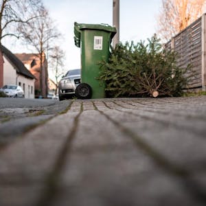 Ein Tannenbaum liegt an einer Straße neben einer grünen Abfalltonne. (Symbolbild)