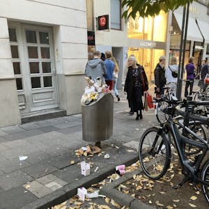 Müll_Ehrenstraße