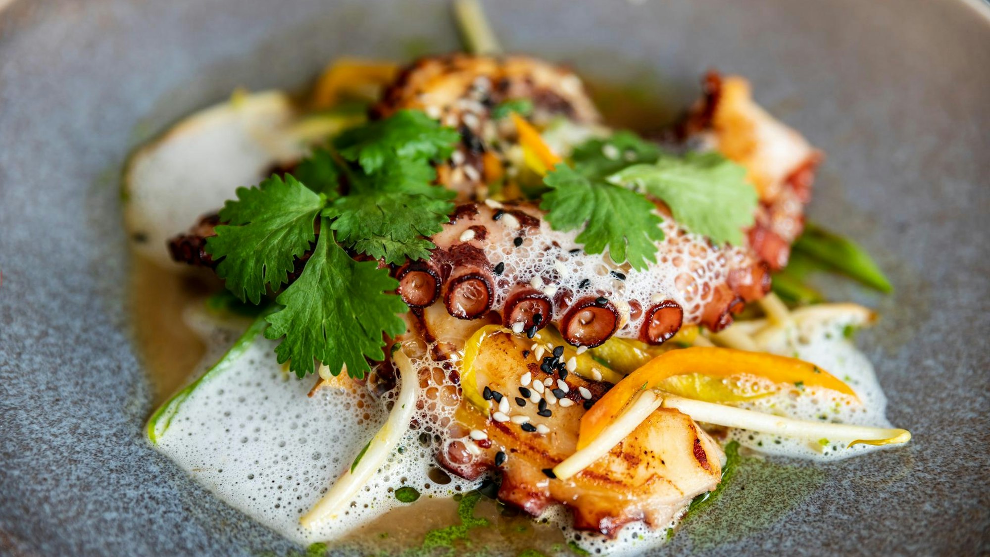 Oktopus vom Grill an Kokosschaum und asiatischem Gemüse ist auf einem Teller angerichtet.