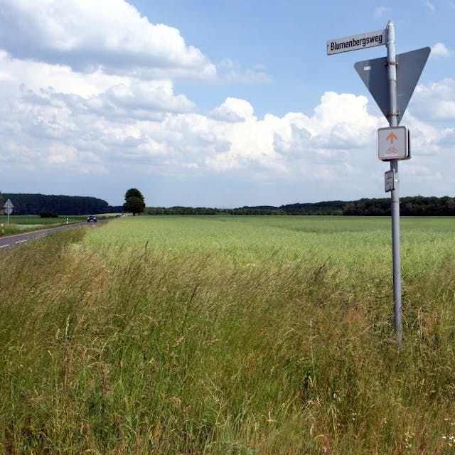 Auf Feldern nahe Blumenberg soll der neue Stadtteil Kreuzfeld entstehen.