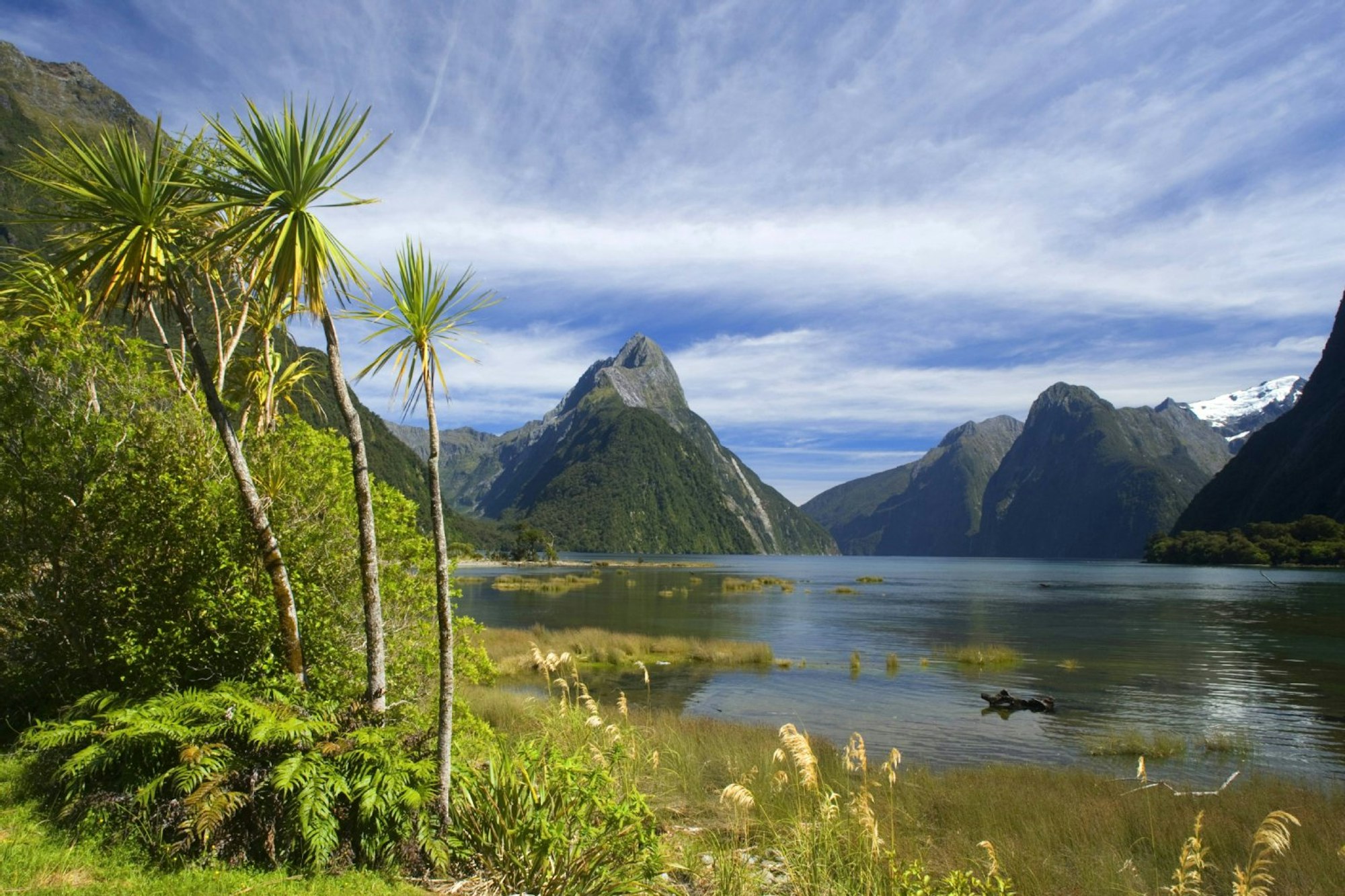 Traumhafte Natur auf Neuseeland Südinsel: Fjord Milford Sound mit Gipfel und umgebenden Bergen.