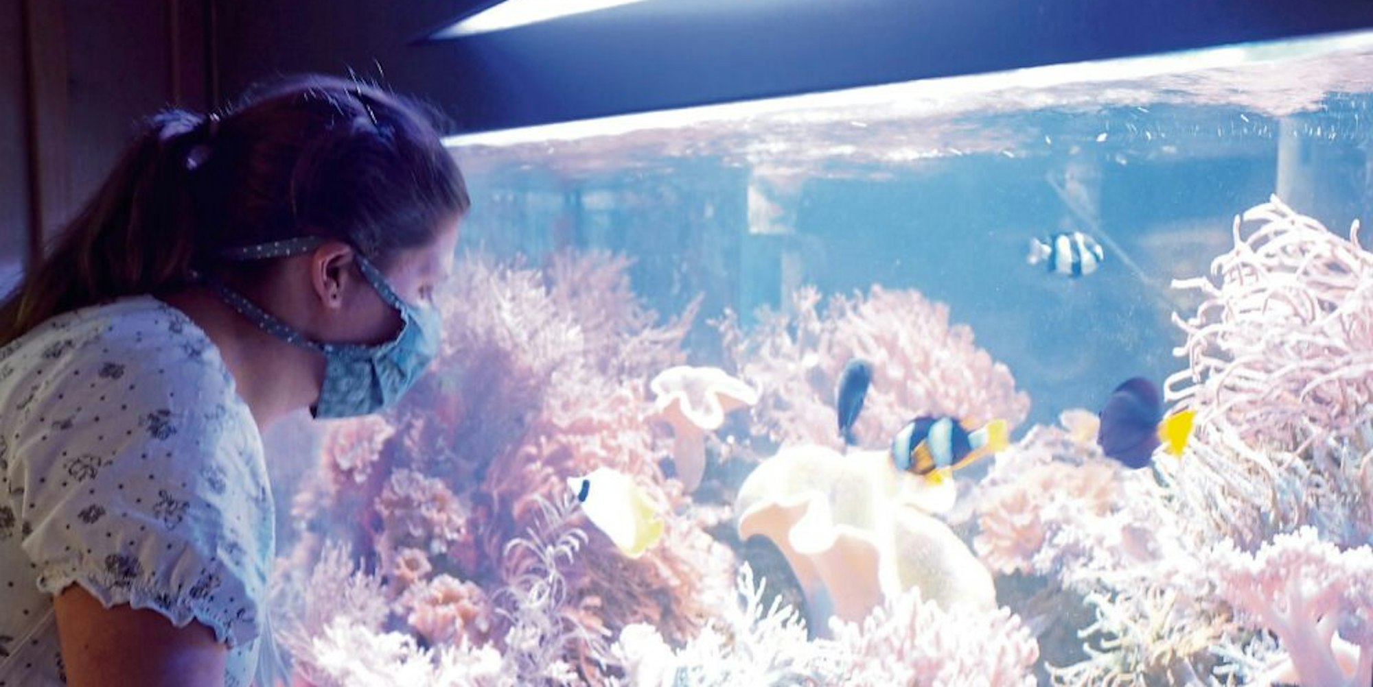 Ein 6000 Liter fassendes Meerwasser-Aquarium, das mit Fischen und Korallen bestückt ist, steht im frei zugänglichen Erdgeschoss des Naturzentrums.