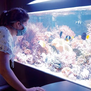 Ein 6000 Liter fassendes Meerwasser-Aquarium, das mit Fischen und Korallen bestückt ist, steht im frei zugänglichen Erdgeschoss des Naturzentrums.