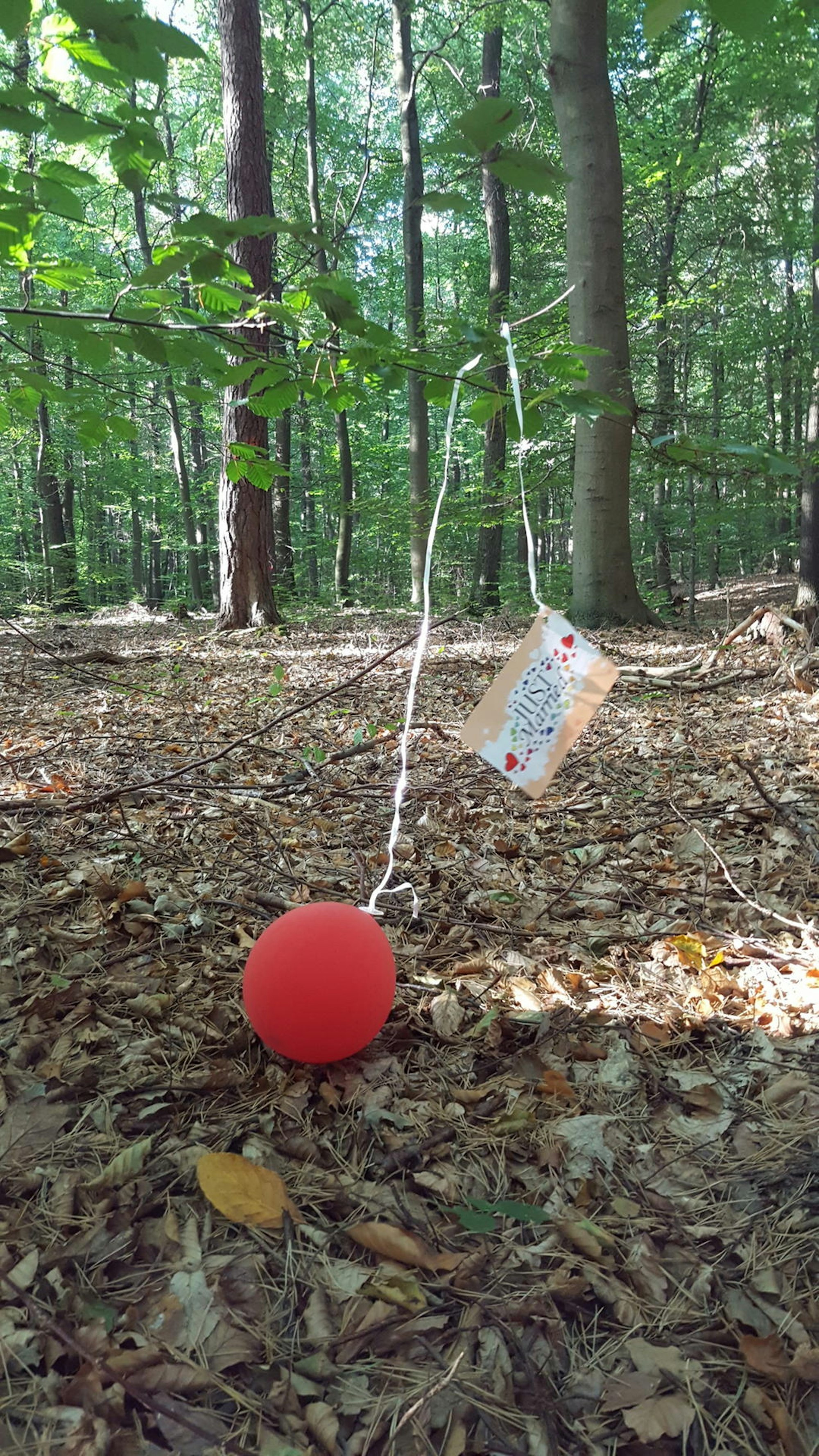 Ballons im Wald_1