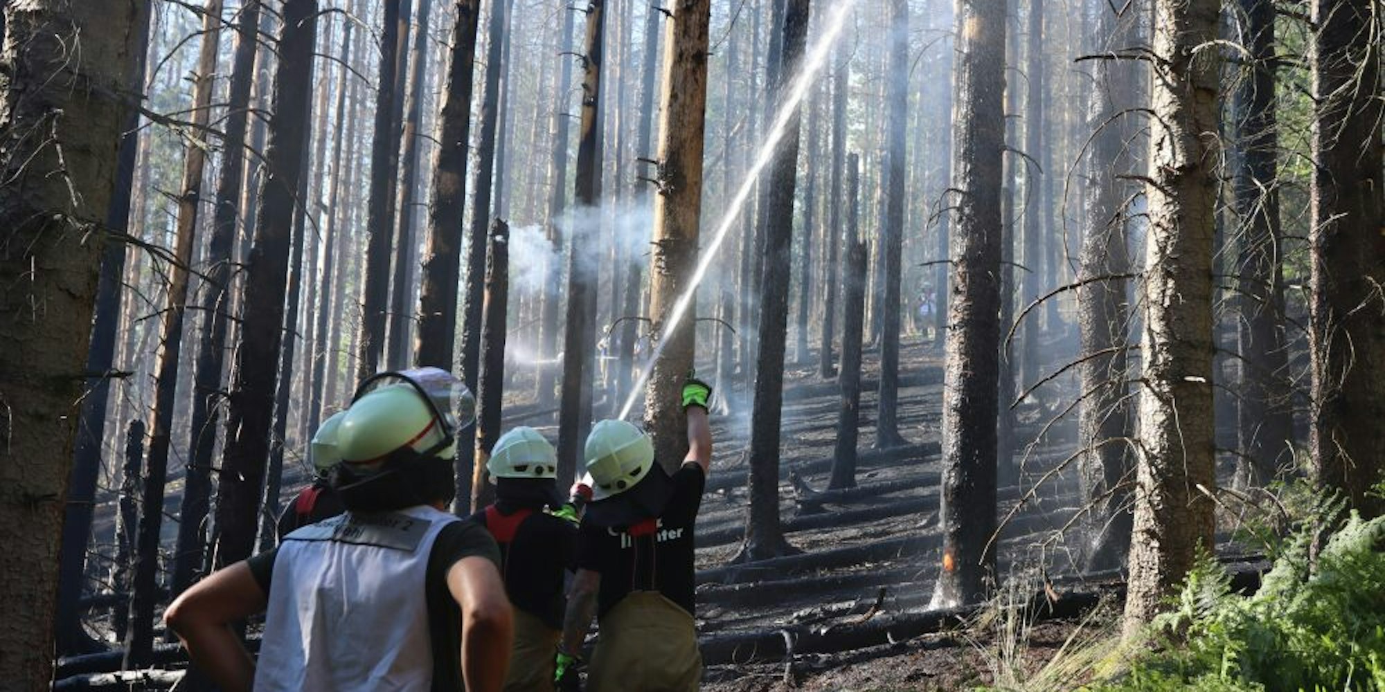 Viel Wasser mussten die Wiehler Feuerwehrleute in den Wald zum Brand bringen.