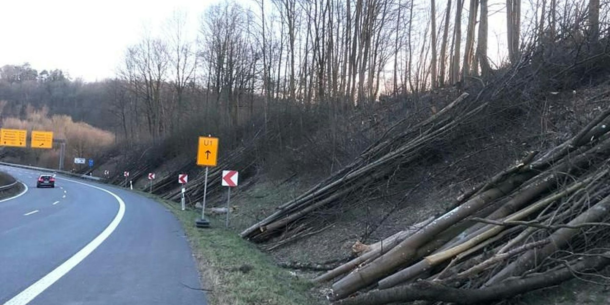 Entlang der Bundesstraße 256, dem Autobahnzubringer in Reichshof, wurden erneut viele Bäume gefällt.