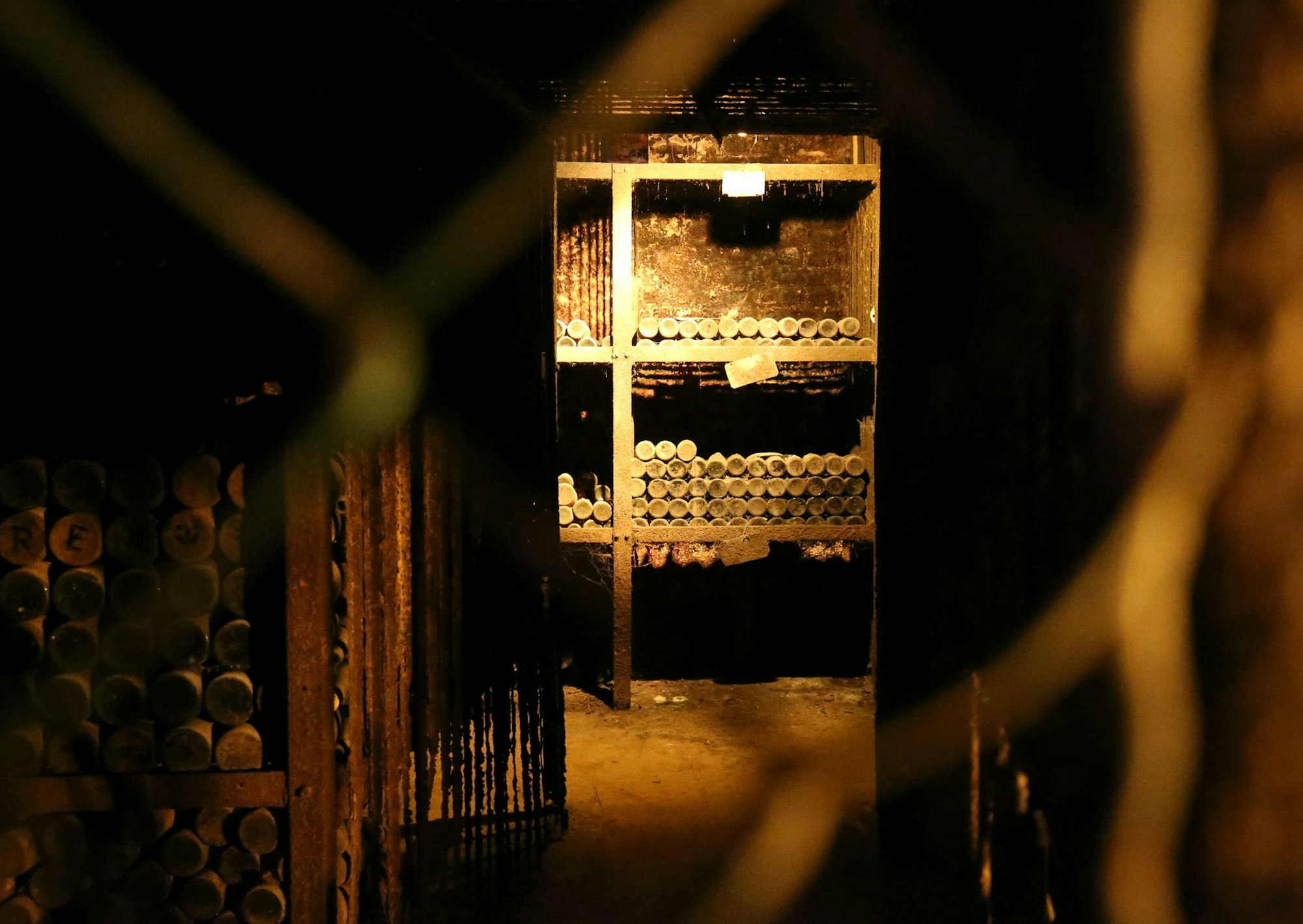 Im Keller des Traditionsweinguts lagern alte Schätze.