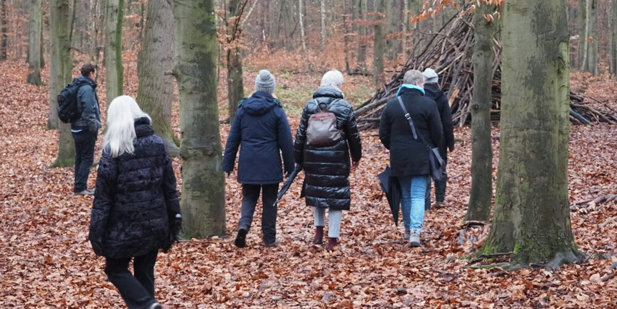 Auf der Suche nach dem richtigen Baum zum Anlehnen sind die Teilnehmerinnen im Villewald unterwegs.