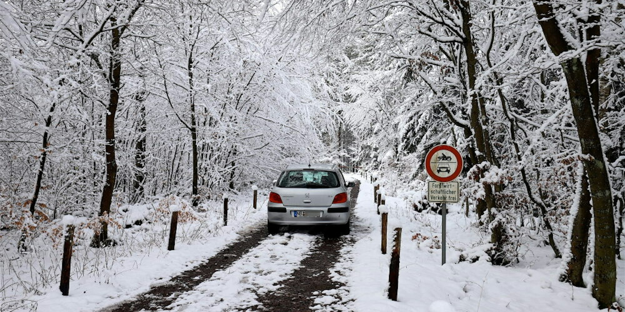 Die Zufahrten zu den Waldwegen wurden ebenfalls zugeparkt.