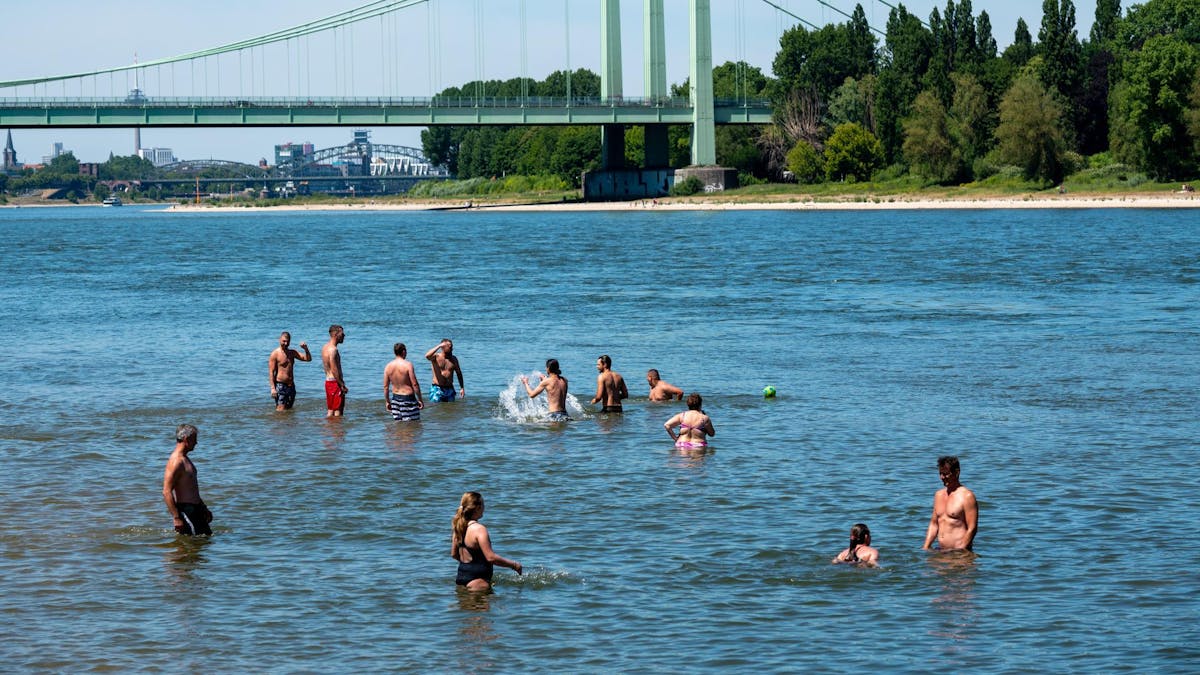 Badegäste im Rhein bei Köln
