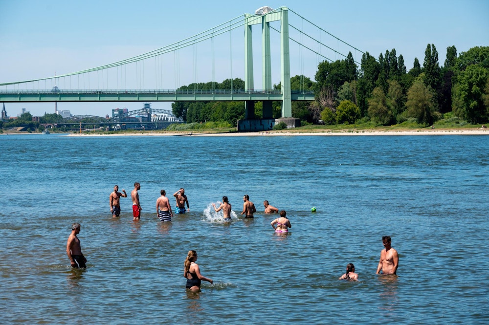 Leute schwimmen im Rhein bei Köln