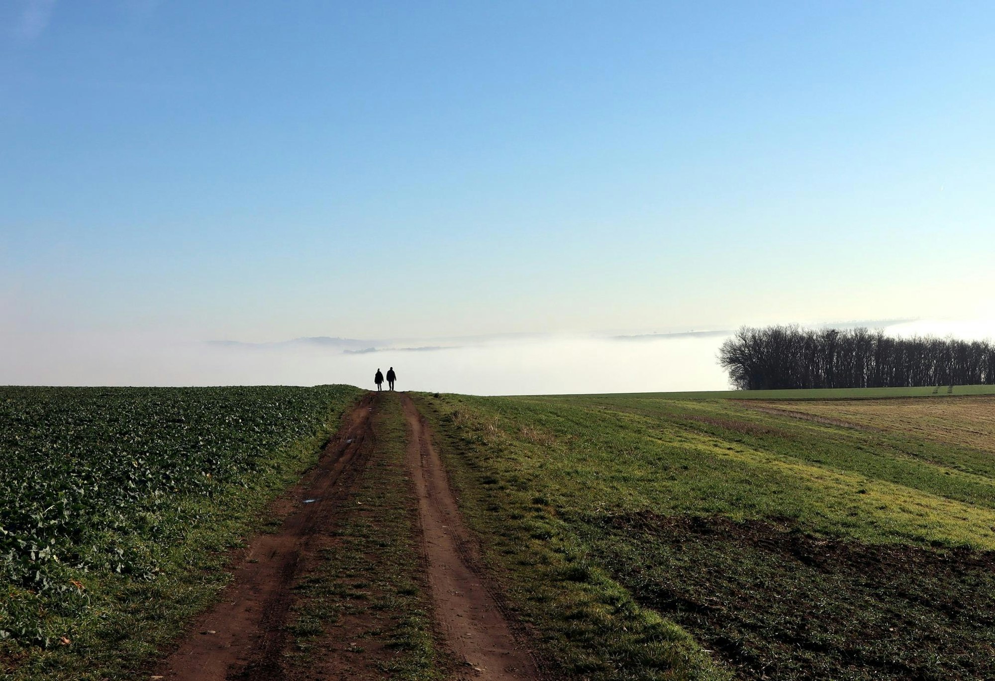 Wanderung Polch Traumpfädchen Felder Nebel