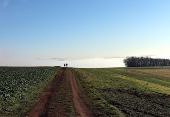 Wanderung Polch Traumpfädchen Felder Nebel